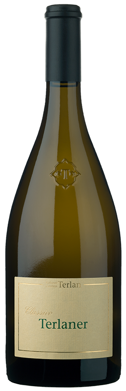 Terlaner Klassisch 2023 1