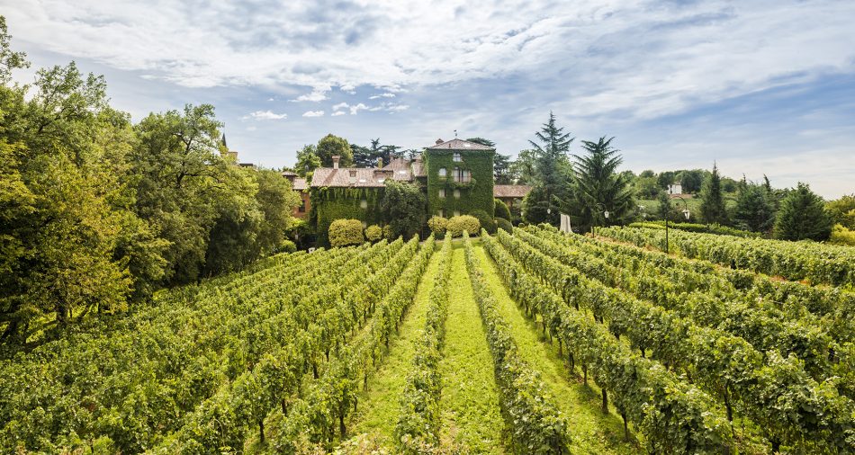 Terra Moretti distribuzione srl 2