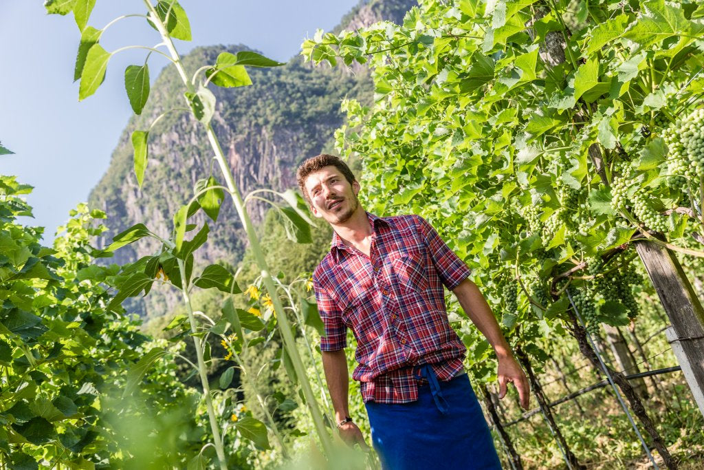 Cuvée Weiß "Summ" Bio 2022 3