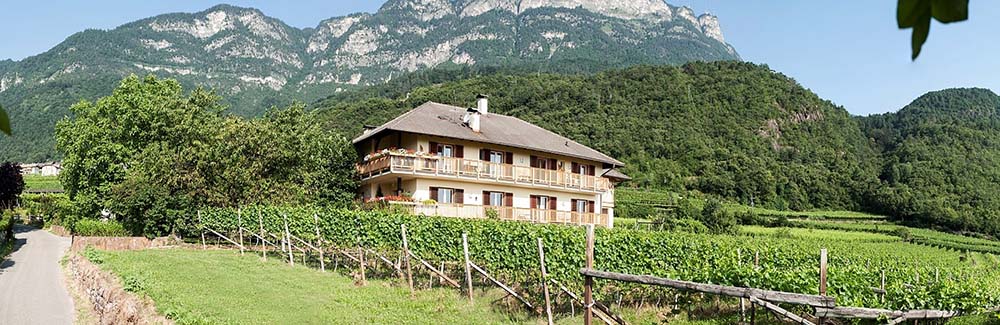 Tröpfltalhof - Bioweinhof  4