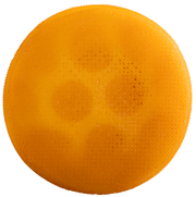 Wacholderkäse Bio 1