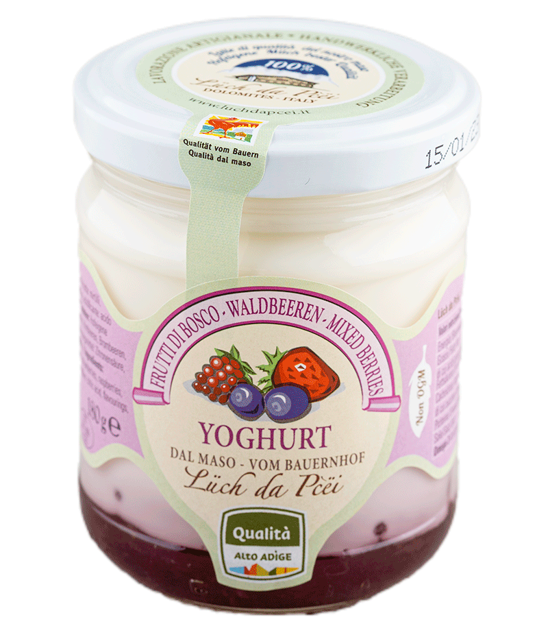 Waldbeer-Joghurt vom Bauernhof 1