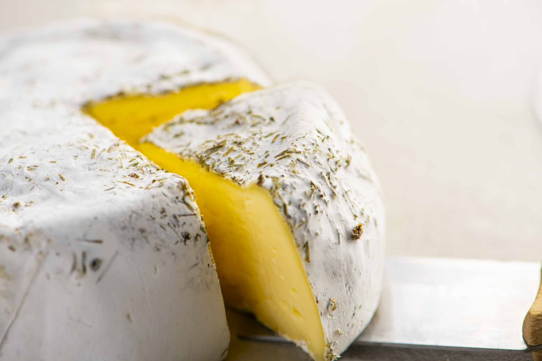 Weichkäse "Larix" 3