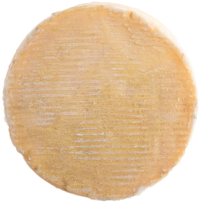 Weichkäse "Steiner" 4