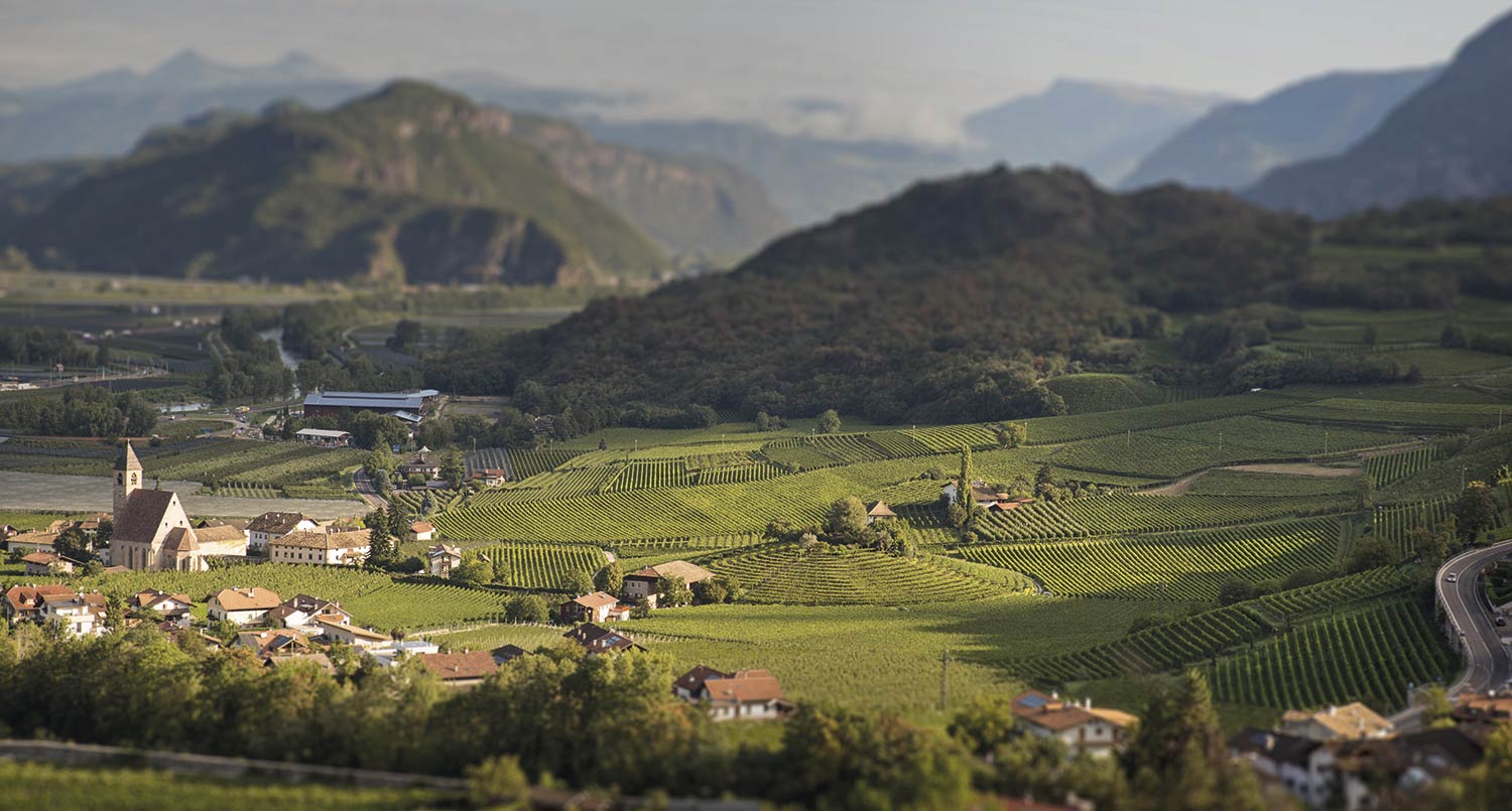 Cuvée Rosé Bio 2022 2022 3