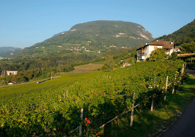 Weingut Brunnenhof 2