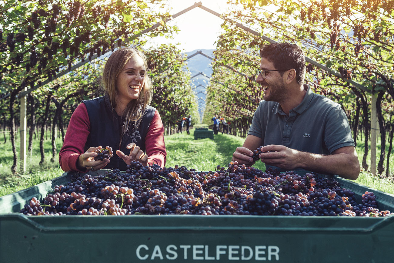 Weingut Castelfeder  2