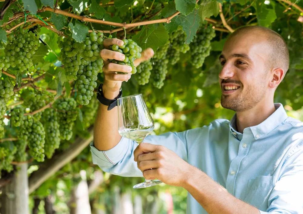 Cuveé weiss "Gloria Dei" 2023 6