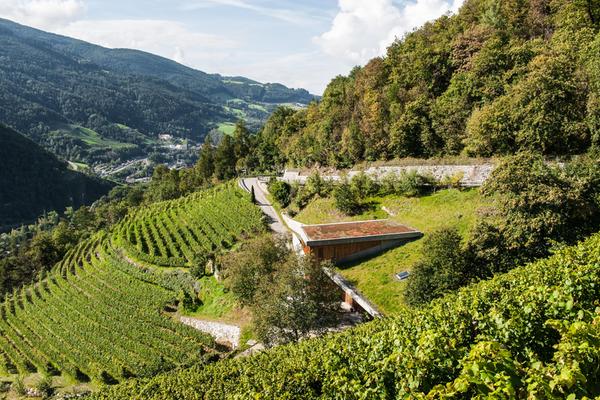 Weingut Garlider  2