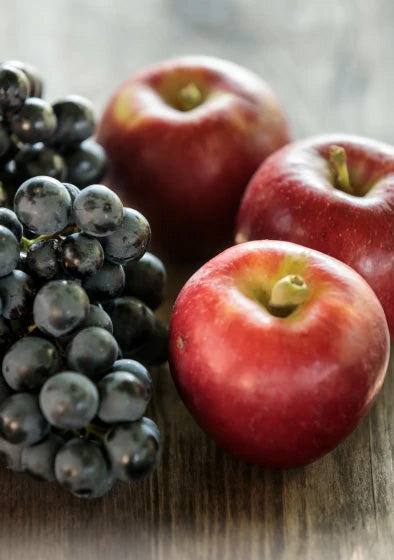  Lagrein Riserva "Perflabilis"  2020 5