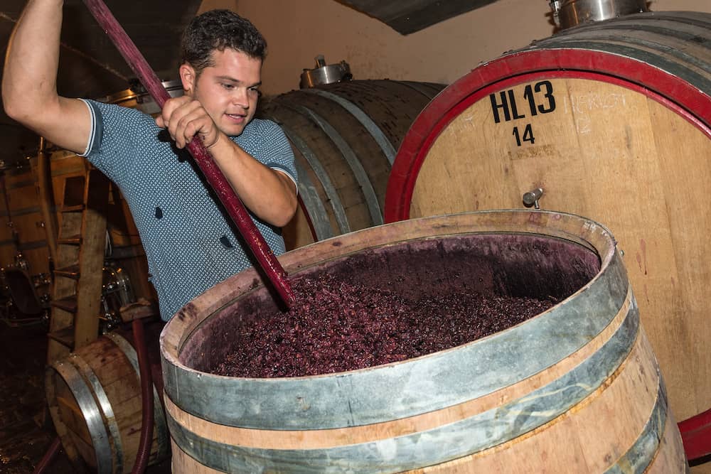 Weingut Klosterhof 3