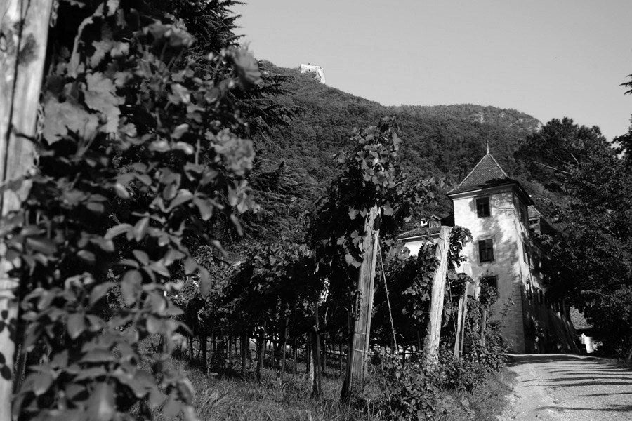 Weingut Kornell 4