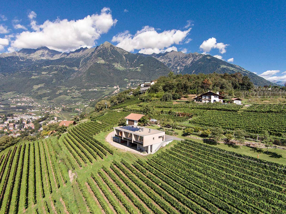 Weingut Laimburg 4