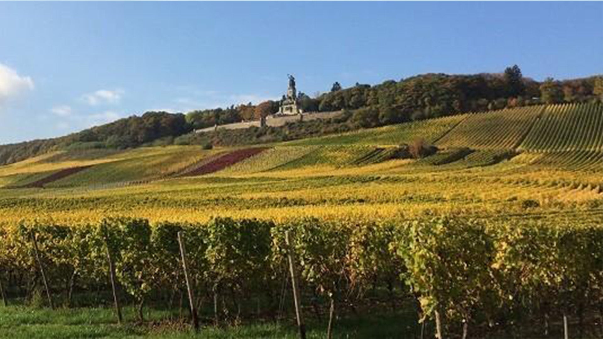 Weingut Leitz 2