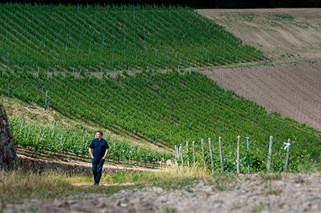 Weingut Leitz 2