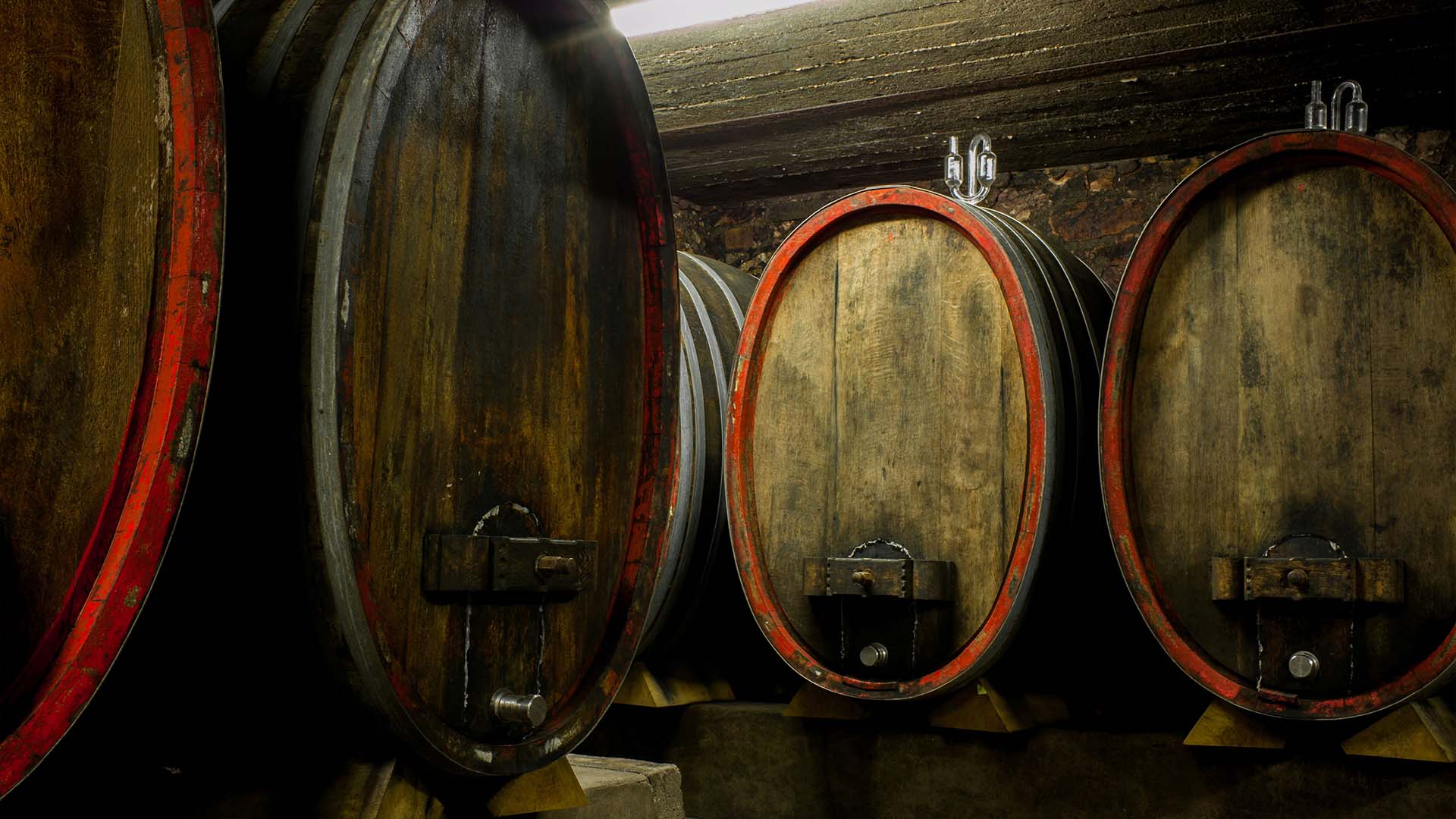 Weingut Leitz 3