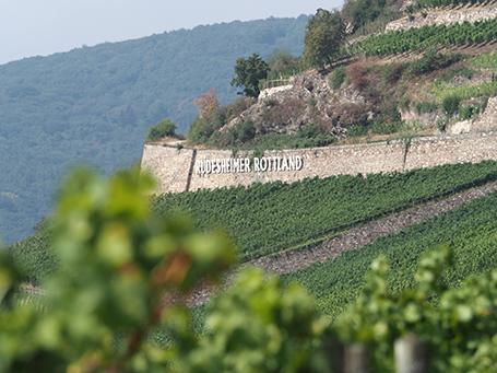 Weingut Leitz 4