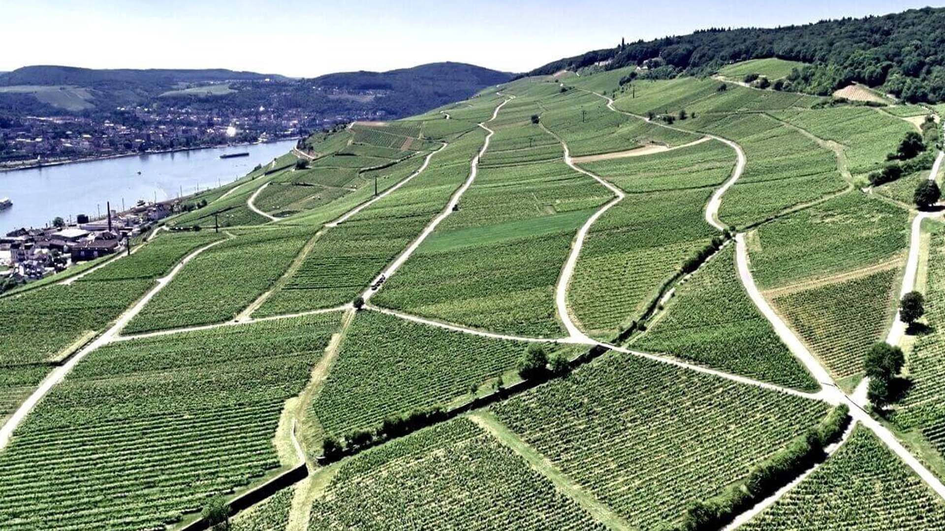 Weingut Leitz 5