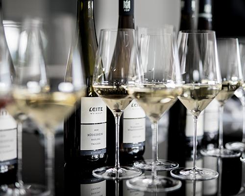 Weingut Leitz 5