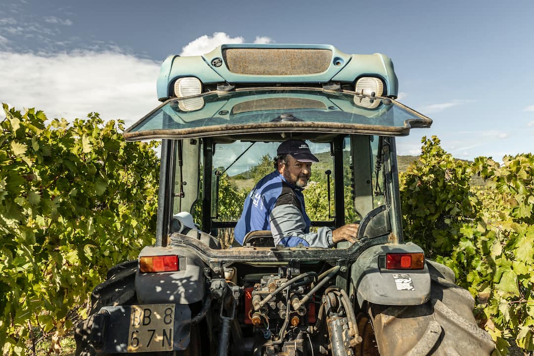 Brunello di Montalcino "Fiore del Vento" bio 2019 4