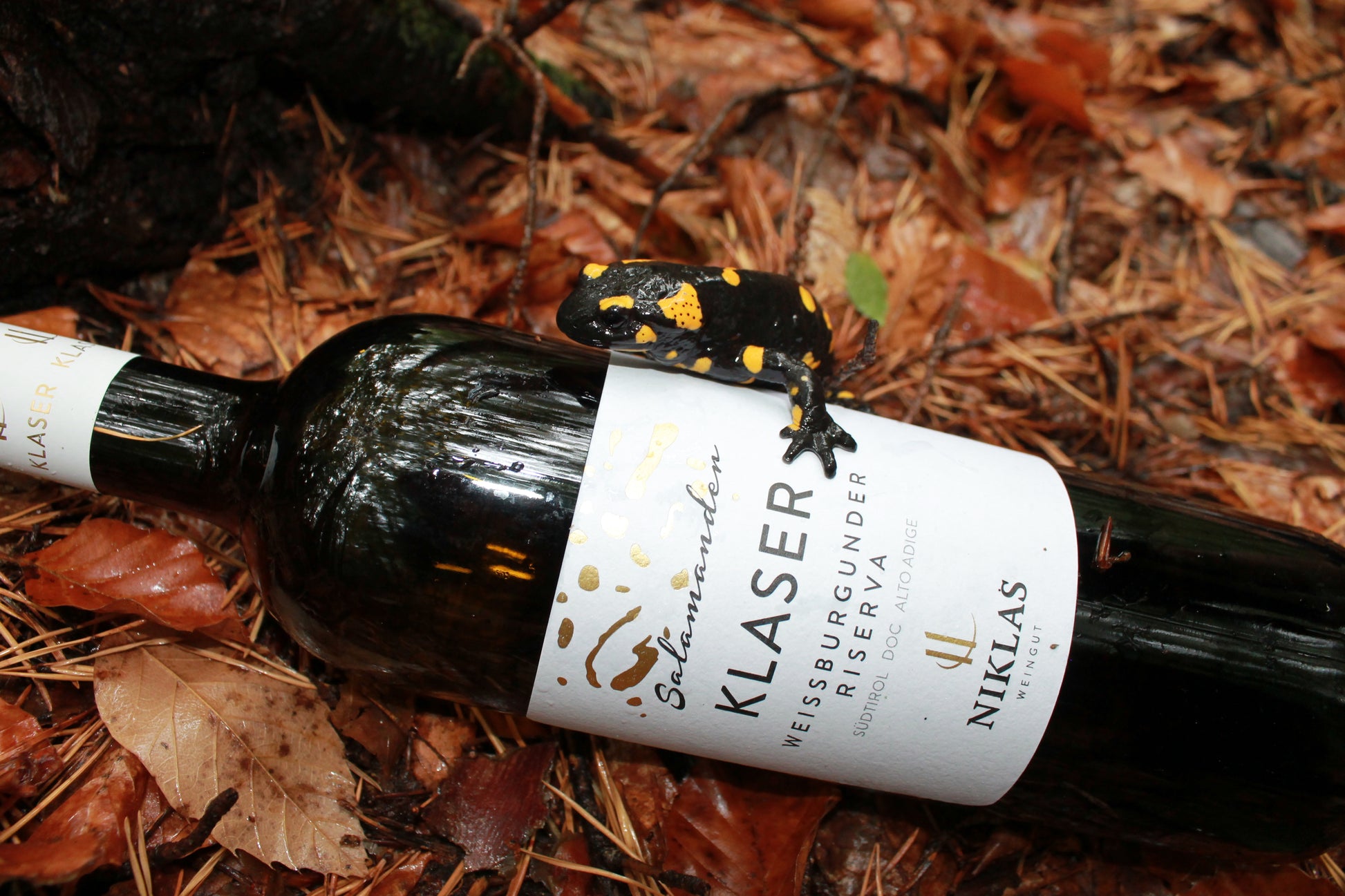 Weingut Niklas 5
