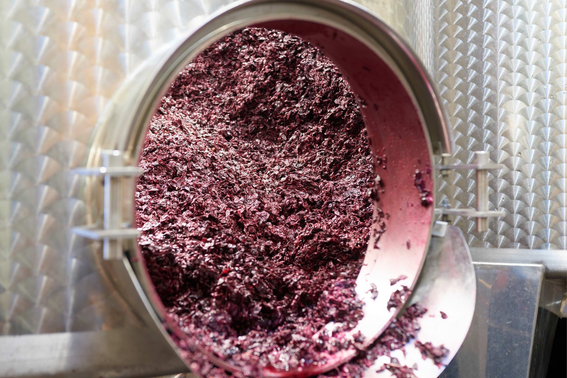 Weingut Obermoser 3
