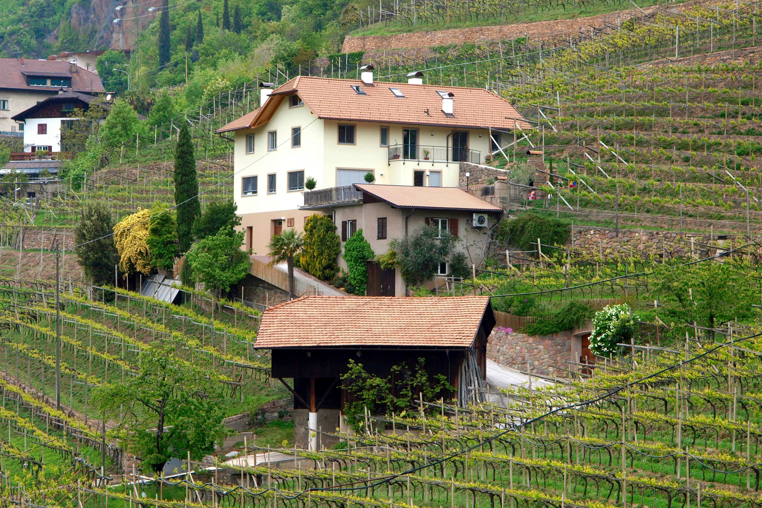Weingut Obermoser 4