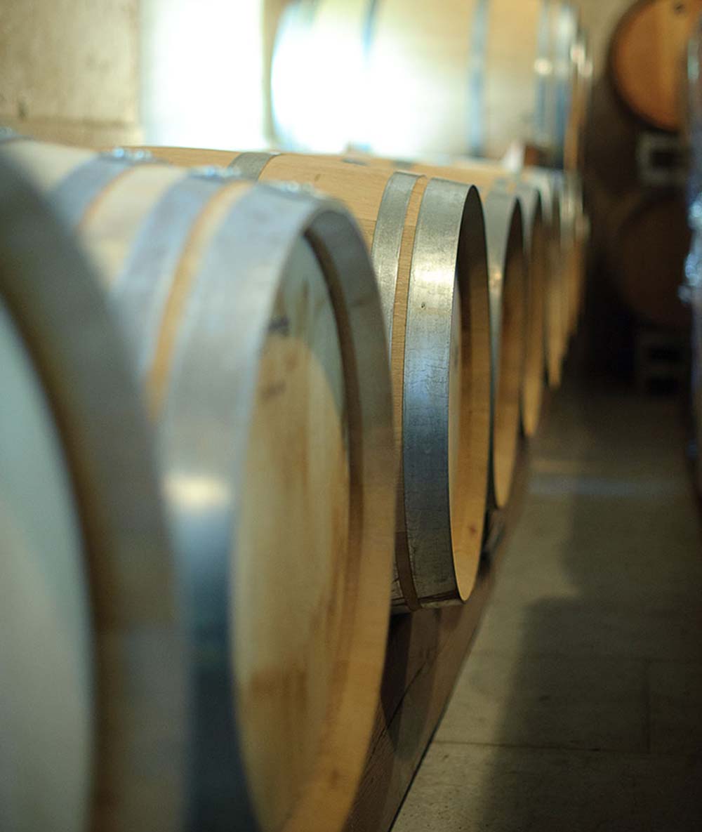 Merlot Cabernet Franc "Frauenriegel" 2022 5