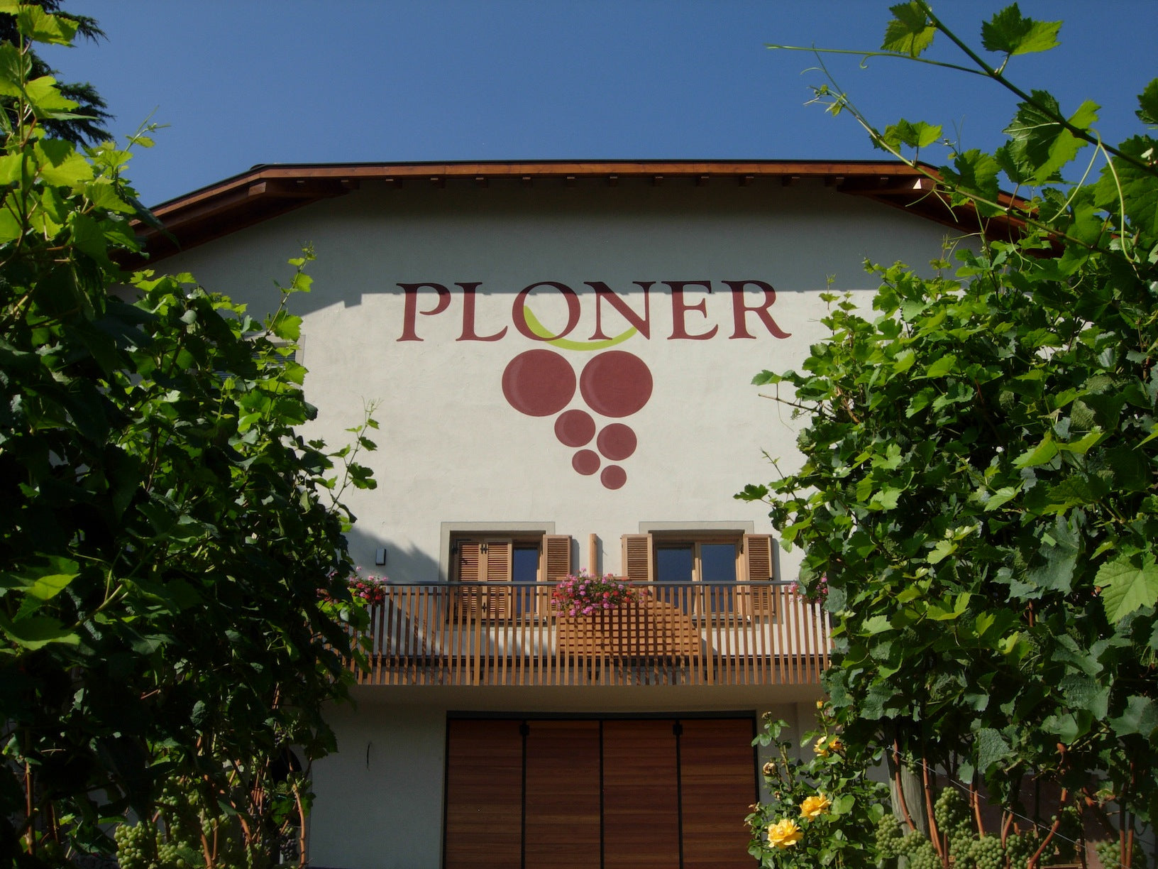 Weingut Ploner 1