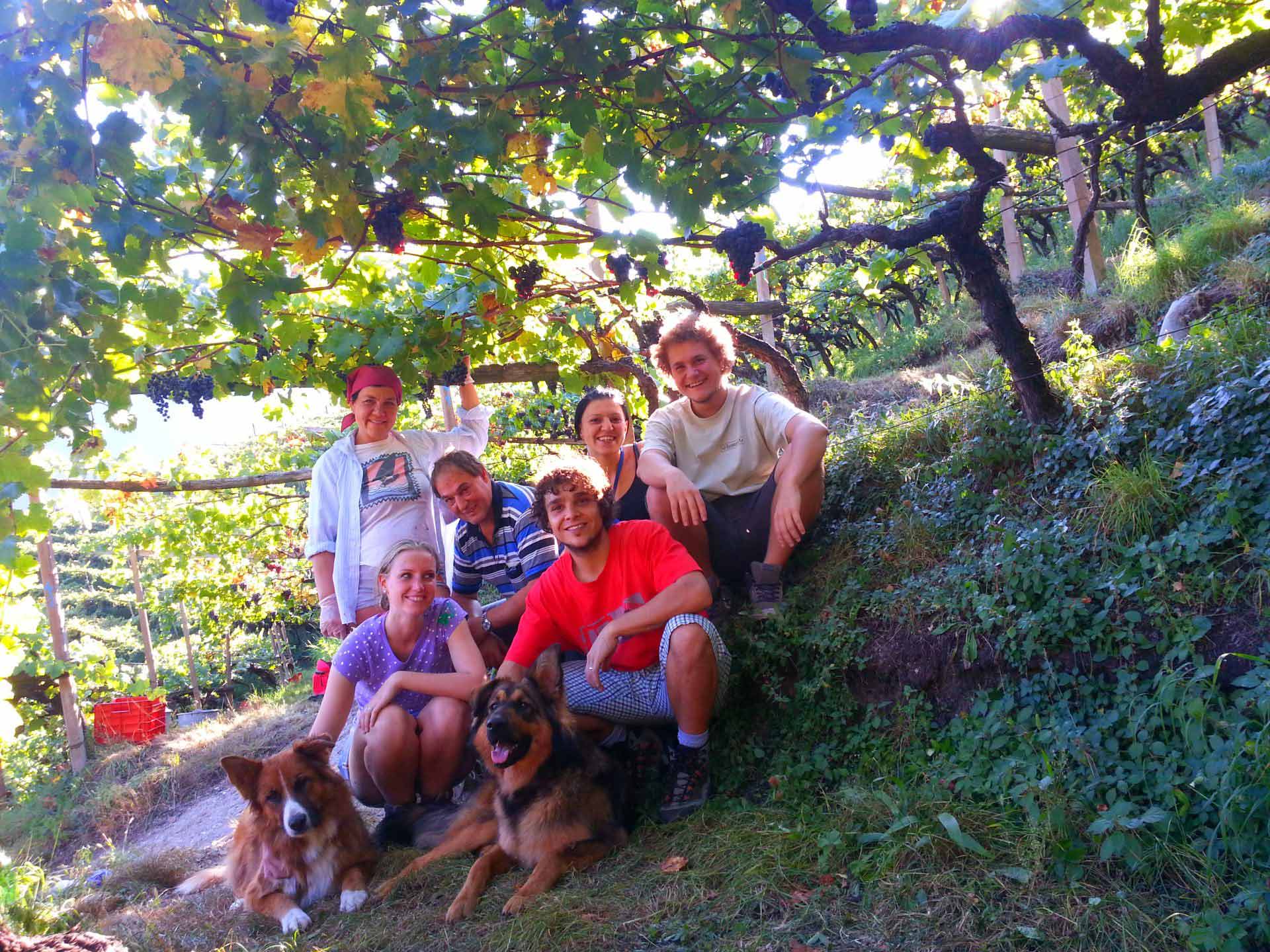 Weingut Plonerhof 5