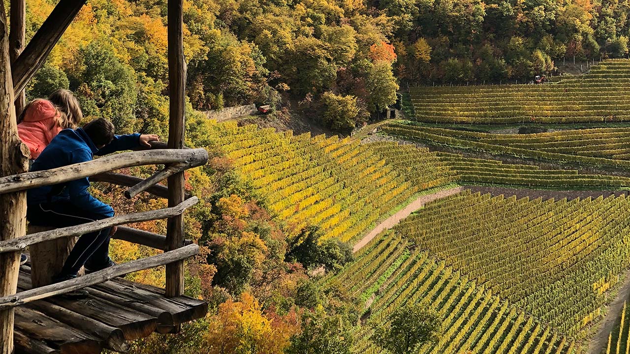 Weingut Prackfolerhof 2