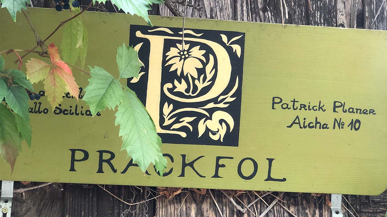 Weingut Prackfolerhof 4