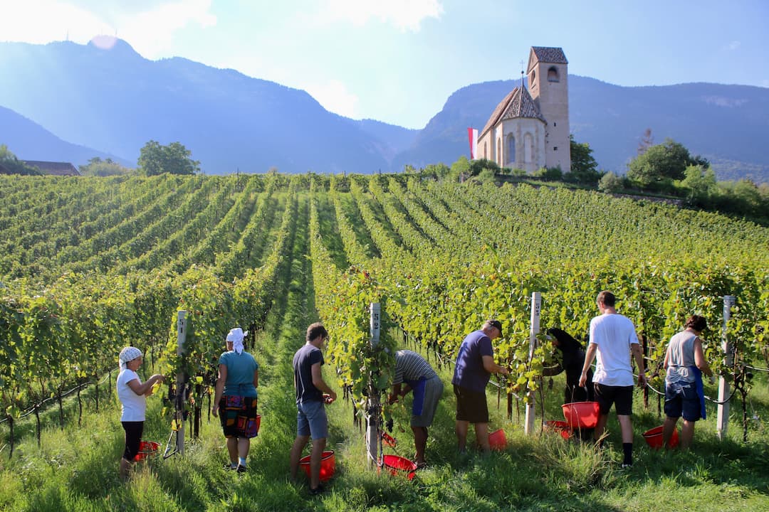 Weingut Schloss Englar 2