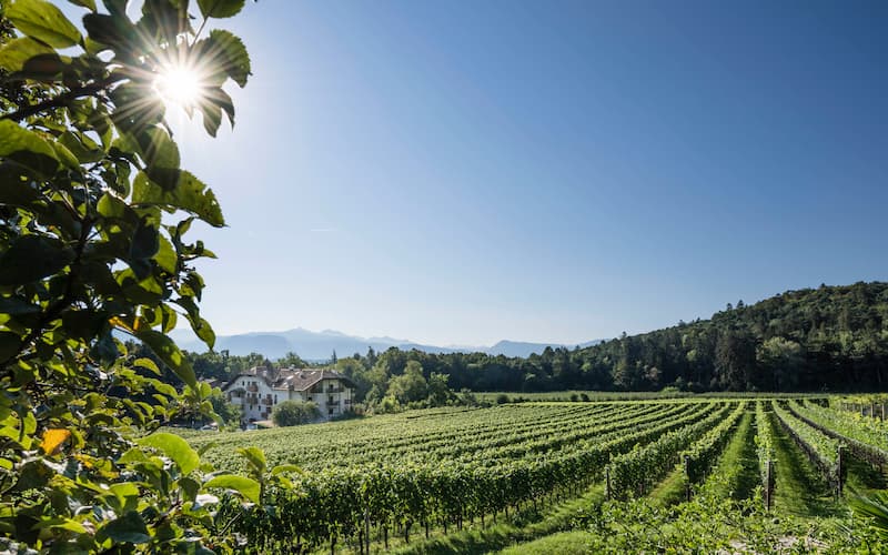 Weingut Stroblhof 2