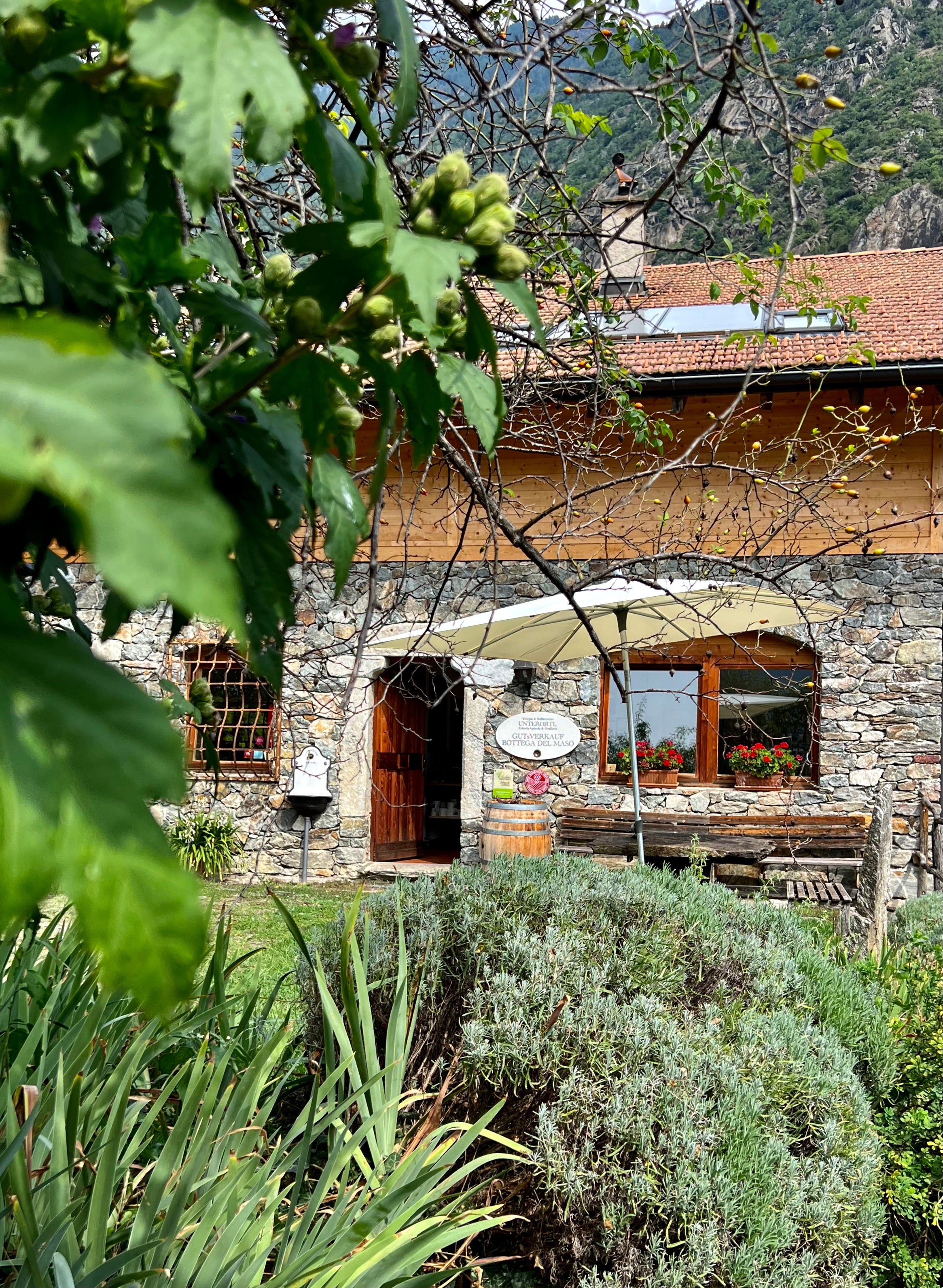 Weingut Unterortl Castel Juval 2