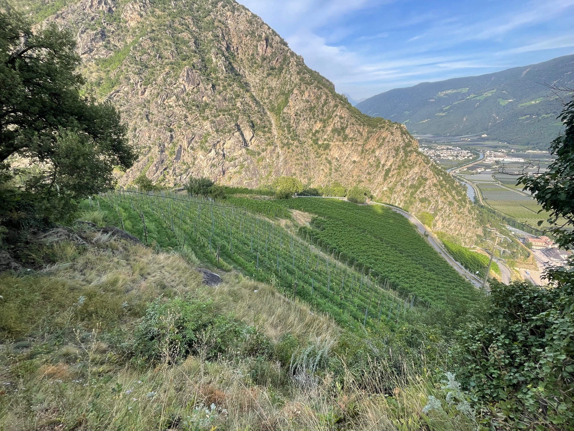 Weingut Unterortl Castel Juval 4