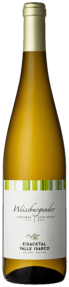 Weißburgunder 2024 1