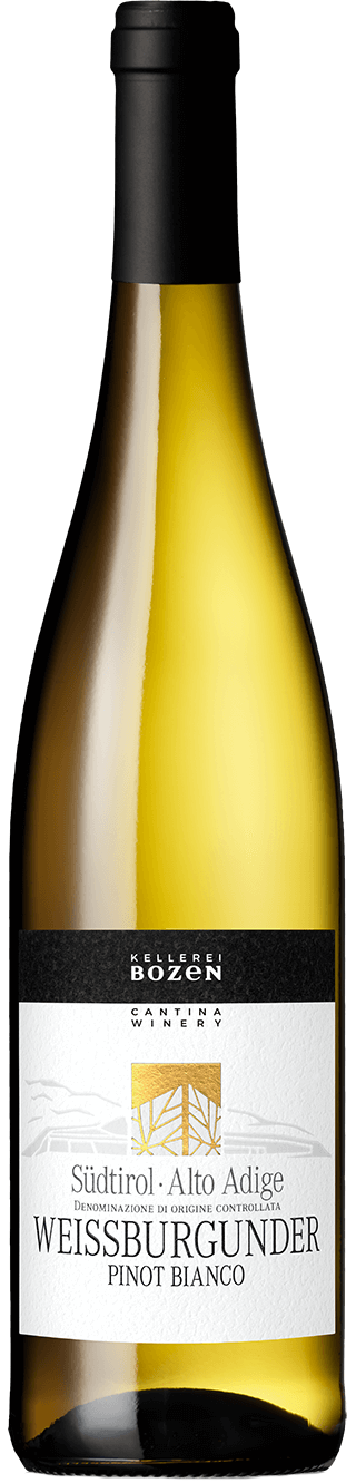 Weissburgunder 2024 1