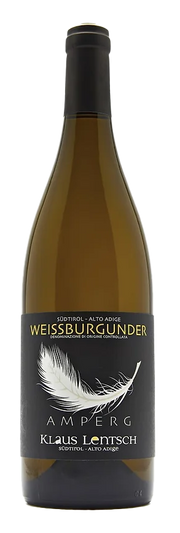 Weißburgunder 2024 1