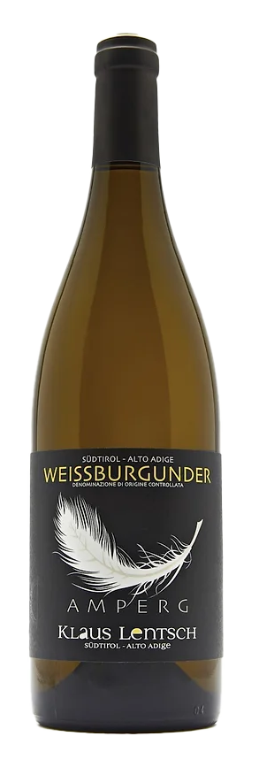 Weißburgunder 2024 1