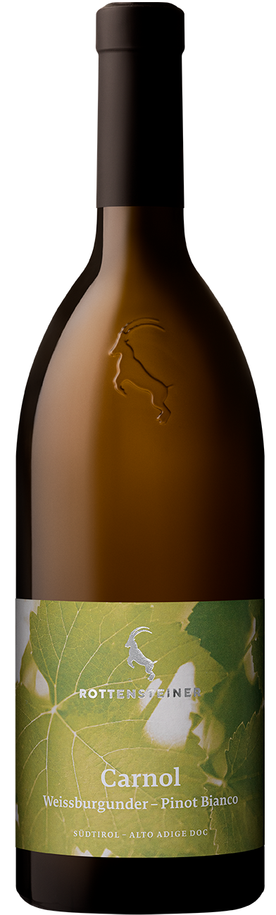 Weissburgunder "Carnol" 2025 1