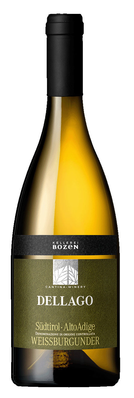Weissburgunder "Dellago"  2025 1