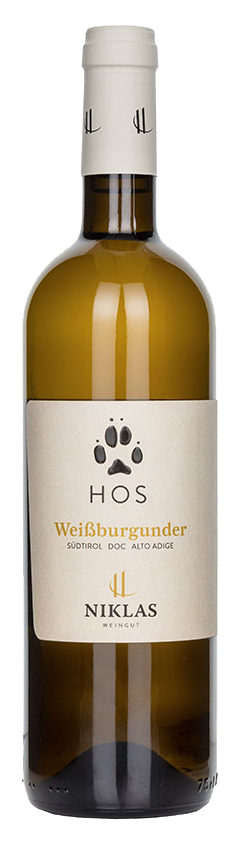 Weissburgunder "Hos" 2025 1