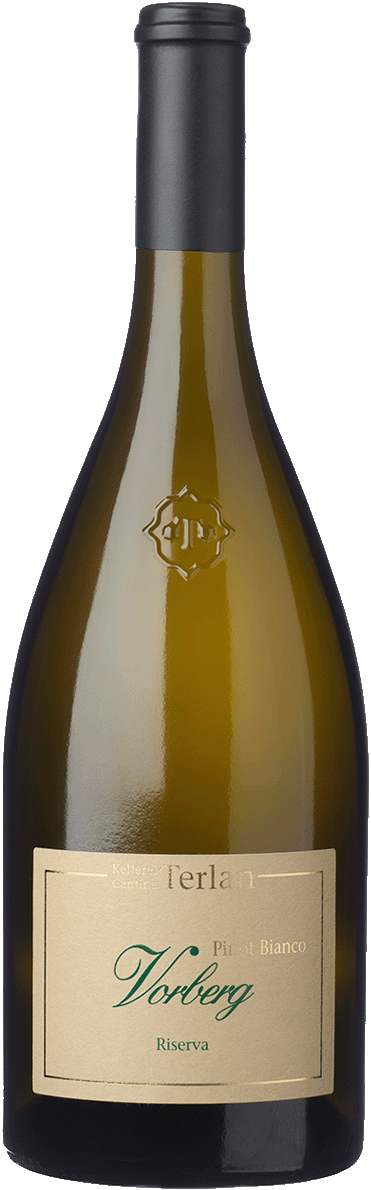 Weissburgunder Riserva "Vorberg" 2023 1