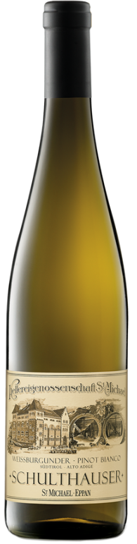Weissburgunder "Schulthauser" 2024 1