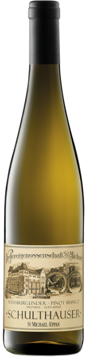 Weissburgunder "Schulthauser" 2024 1