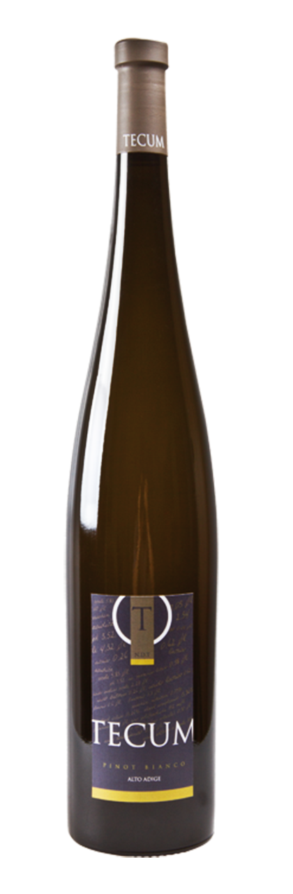 Weissburgunder "Tecum" 2023 1