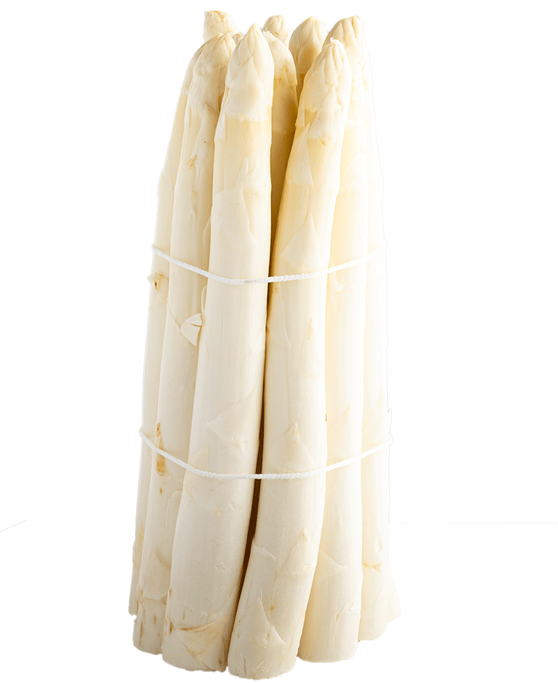Weißer Spargel 1
