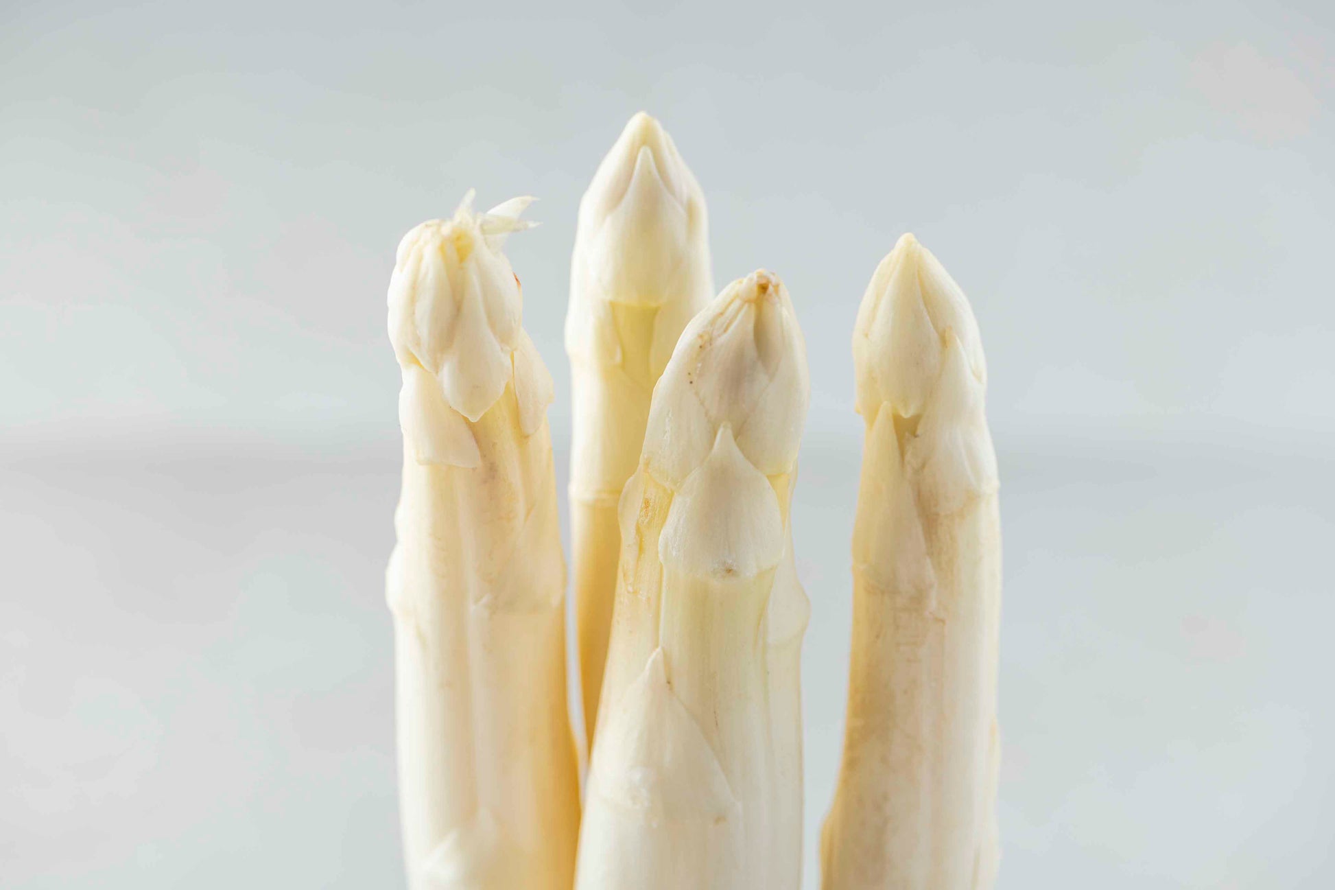 Weißer Spargel 2