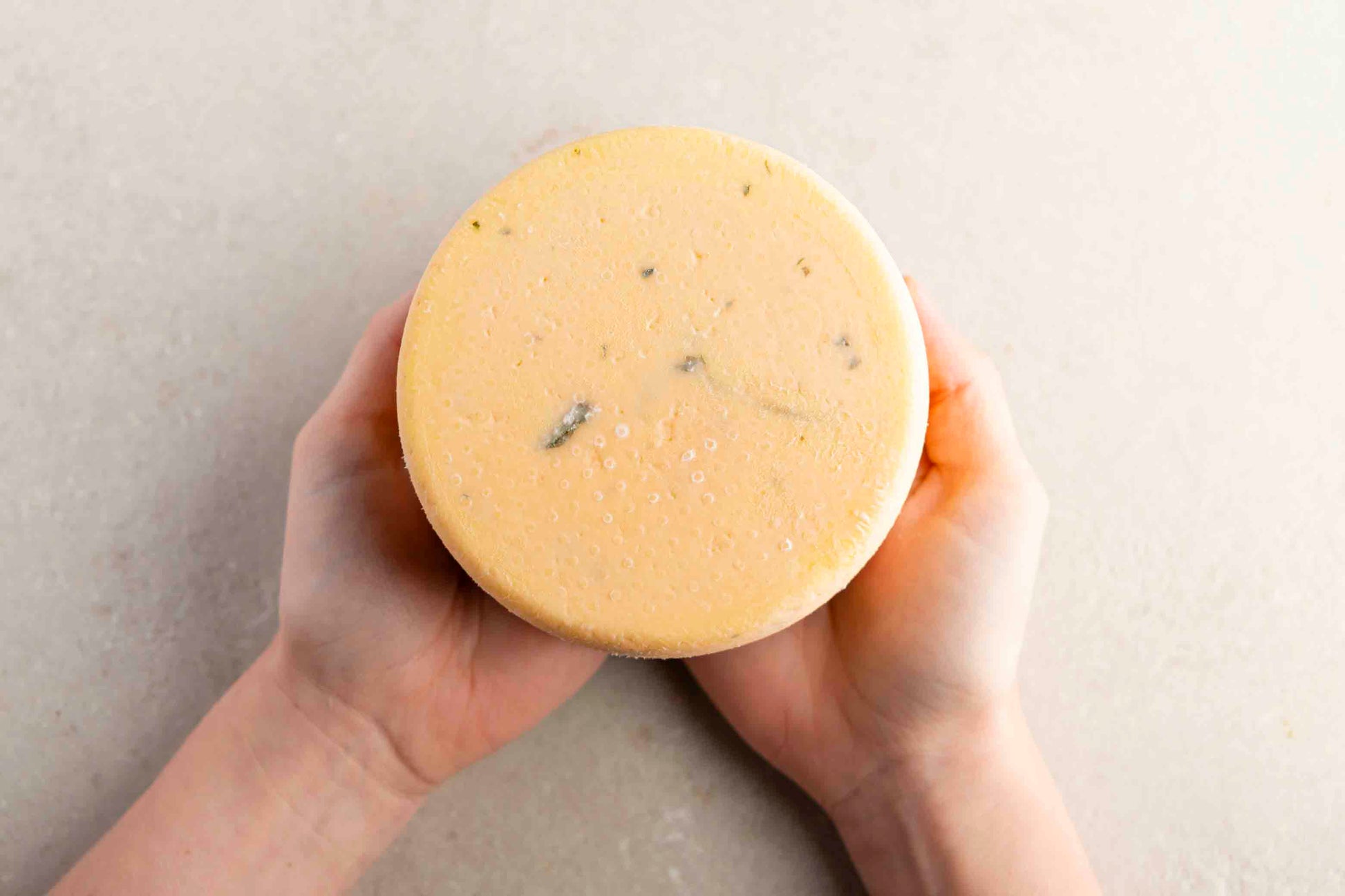 Wildkräuterkäse 2